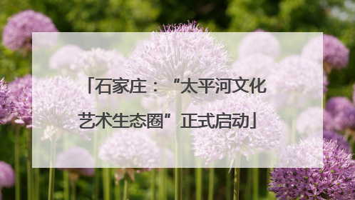 石家庄：“太平河文化艺术生态圈”正式启动