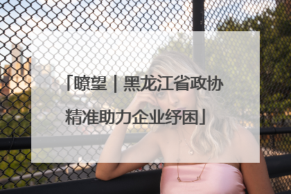 瞭望｜黑龙江省政协精准助力企业纾困