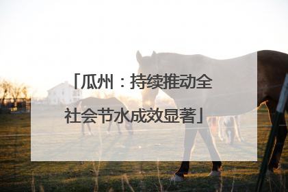 瓜州：持续推动全社会节水成效显著