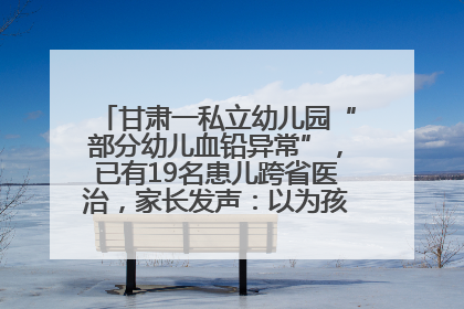 甘肃一私立幼儿园“部分幼儿血铅异常”，已有19名患儿跨省医治，家长发声：以为孩子出问题，没想过会与学校有关