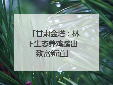 甘肃金塔：林下生态养鸡踏出致富新道