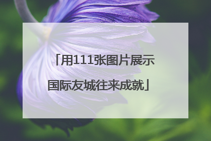 用111张图片展示国际友城往来成就