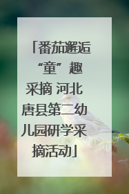 番茄邂逅 “童”趣采摘 河北唐县第二幼儿园研学采摘活动
