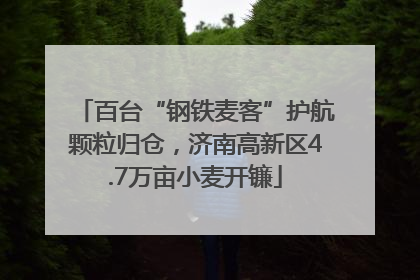 百台“钢铁麦客”护航颗粒归仓，济南高新区4.7万亩小麦开镰
