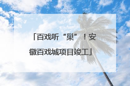 百戏听“巢”！安徽百戏城项目竣工