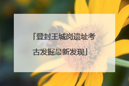 登封王城岗遗址考古发掘最新发现