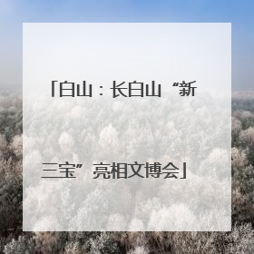 白山：长白山“新三宝”亮相文博会
