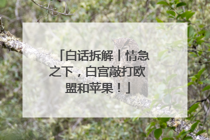 白话拆解丨情急之下，白宫敲打欧盟和苹果！