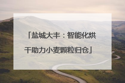 盐城大丰：智能化烘干助力小麦颗粒归仓