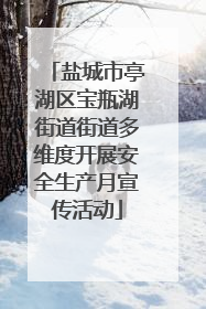 盐城市亭湖区宝瓶湖街道街道多维度开展安全生产月宣传活动