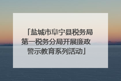 盐城市阜宁县税务局第一税务分局开展廉政警示教育系列活动