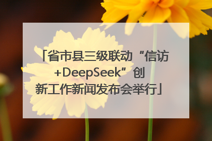 省市县三级联动“信访+DeepSeek”创新工作新闻发布会举行