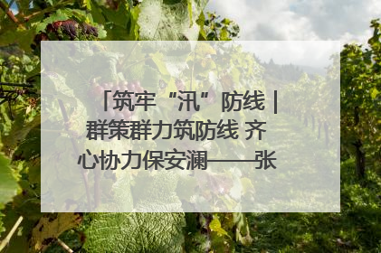 筑牢“汛”防线｜群策群力筑防线 齐心协力保安澜——张家界高新区上下众志成城迎战汛情