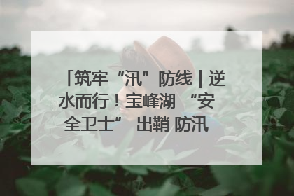 筑牢“汛”防线｜逆水而行！宝峰湖 “安全卫士” 出鞘 防汛应急再添硬核力量