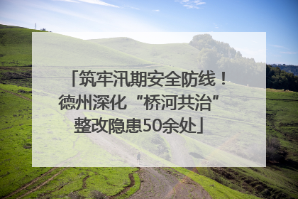 筑牢汛期安全防线！德州深化“桥河共治”整改隐患50余处