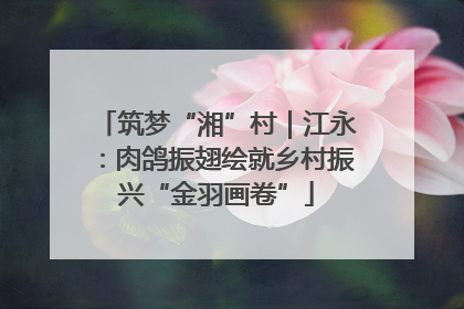 筑梦“湘”村｜江永：肉鸽振翅绘就乡村振兴“金羽画卷”