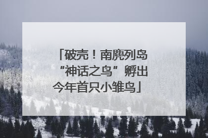 破壳！南麂列岛“神话之鸟”孵出今年首只小雏鸟
