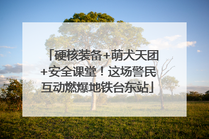 硬核装备+萌犬天团+安全课堂！这场警民互动燃爆地铁台东站