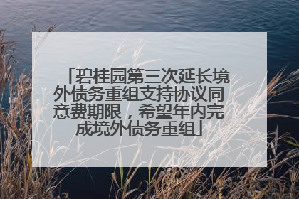 碧桂园第三次延长境外债务重组支持协议同意费期限，希望年内完成境外债务重组
