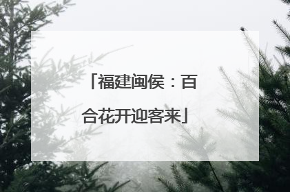 福建闽侯：百合花开迎客来