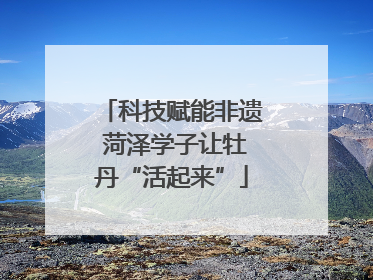 科技赋能非遗 菏泽学子让牡丹“活起来”