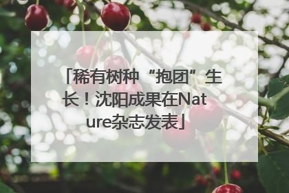 稀有树种“抱团”生长！沈阳成果在Nature杂志发表