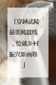 穿越武陵最美风景线，绘就乡村振兴新画卷