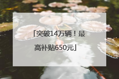 突破14万辆！最高补贴650元