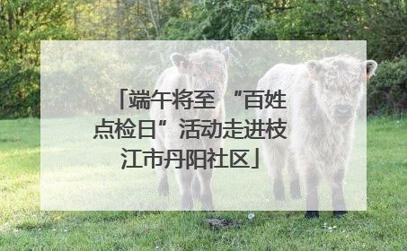 端午将至 “百姓点检日”活动走进枝江市丹阳社区