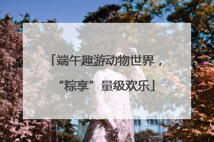 端午趣游动物世界，“粽享”量级欢乐