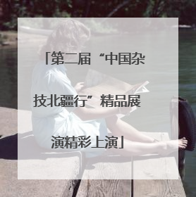 第二届“中国杂技北疆行”精品展演精彩上演