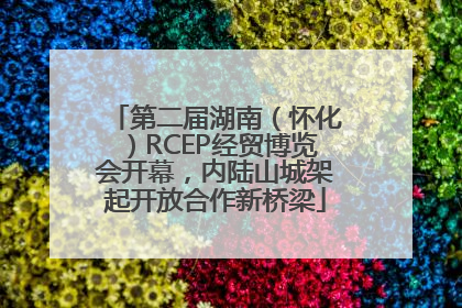 第二届湖南（怀化）RCEP经贸博览会开幕，内陆山城架起开放合作新桥梁