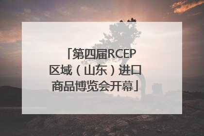 第四届RCEP区域（山东）进口商品博览会开幕