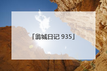 翁城日记 935