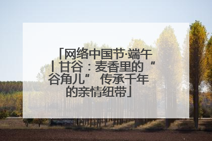 网络中国节·端午丨甘谷：麦香里的“谷角儿” 传承千年的亲情纽带