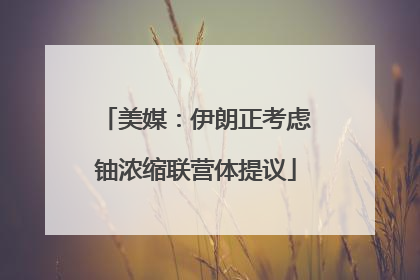 美媒：伊朗正考虑铀浓缩联营体提议
