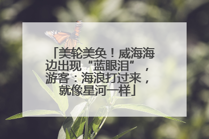 美轮美奂！威海海边出现“蓝眼泪”，游客：海浪打过来，就像星河一样
