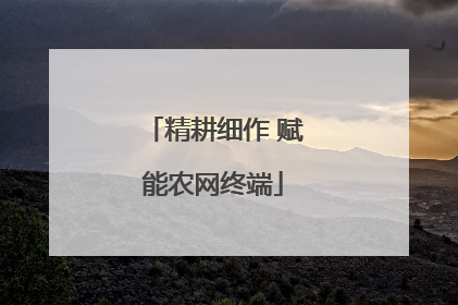 精耕细作 赋能农网终端