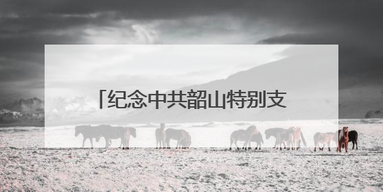 纪念中共韶山特别支部成立100周年《堡垒》电影党课开课