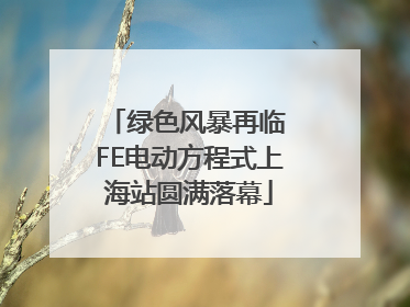 绿色风暴再临 FE电动方程式上海站圆满落幕