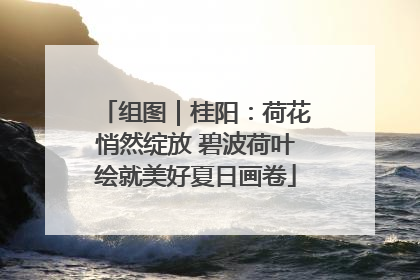 组图｜桂阳：荷花悄然绽放 碧波荷叶绘就美好夏日画卷