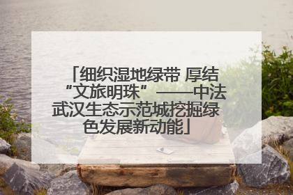 细织湿地绿带 厚结“文旅明珠”——中法武汉生态示范城挖掘绿色发展新动能