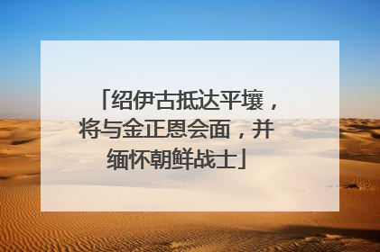 绍伊古抵达平壤，将与金正恩会面，并缅怀朝鲜战士