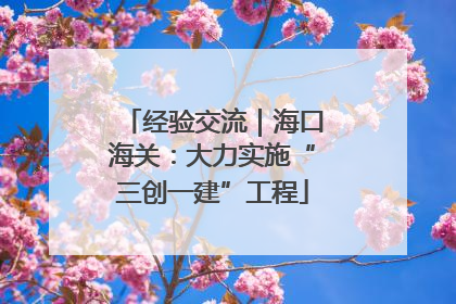 经验交流｜海口海关：大力实施“三创一建”工程