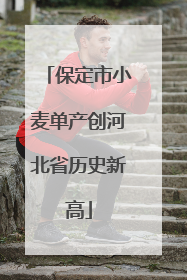 保定市小麦单产创河北省历史新高