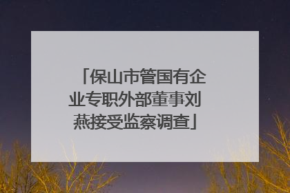 保山市管国有企业专职外部董事刘燕接受监察调查