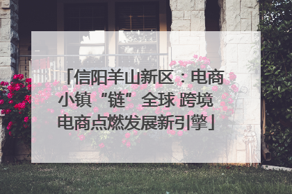 信阳羊山新区：电商小镇“链”全球 跨境电商点燃发展新引擎
