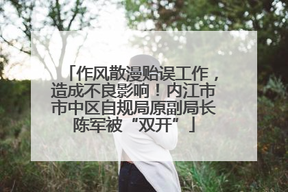 作风散漫贻误工作，造成不良影响！内江市市中区自规局原副局长陈军被“双开”