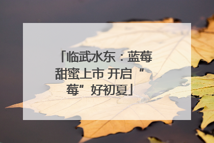 临武水东：蓝莓甜蜜上市 开启“莓”好初夏