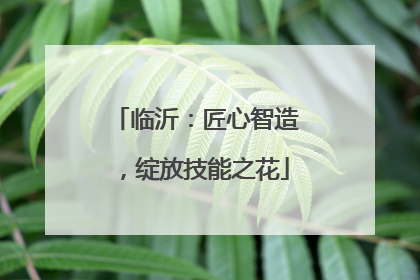 临沂：匠心智造，绽放技能之花